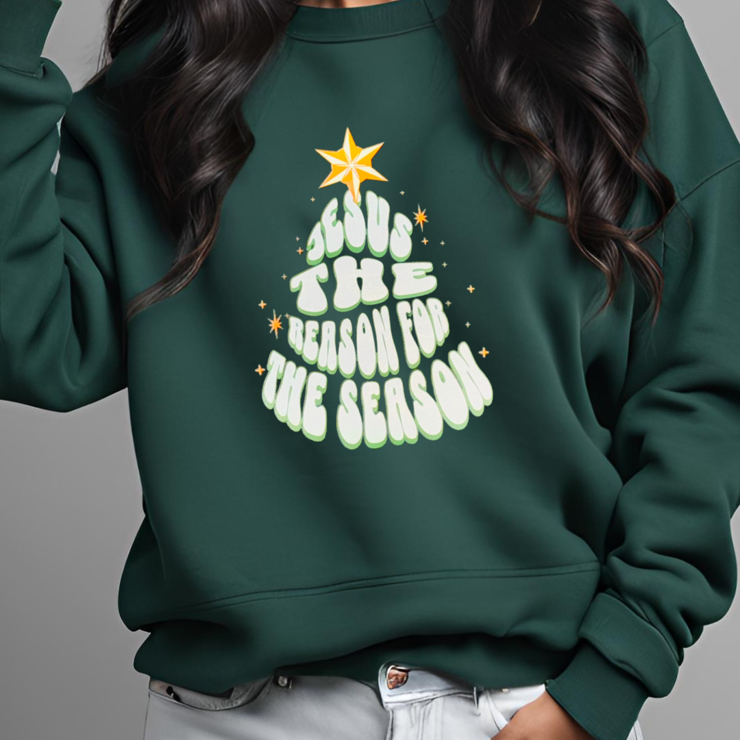 Jesus The Reason Sweatshirt